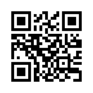 QR CODE 410