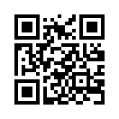 QR CODE 54