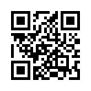QR CODE 110