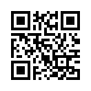 QR CODE 110