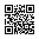 QR CODE 31