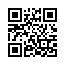QR CODE 53