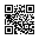 QR CODE 65