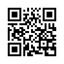 QR CODE 110