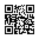 QR CODE 1271