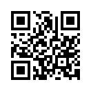 QR CODE 131