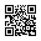 QR CODE 305