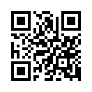 QR CODE 309