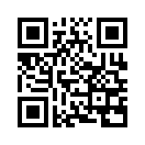 QR CODE 329