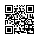 QR CODE 344