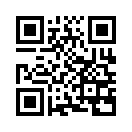 QR CODE 394