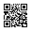 QR CODE 494