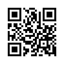 QR CODE 501
