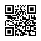 QR CODE 524