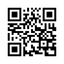 QR CODE 528