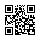 QR CODE 584