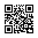 QR CODE 717