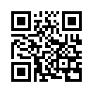 QR CODE 737