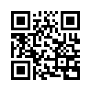 QR CODE 808