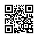 QR CODE 925
