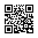 QR CODE 950