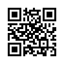 QR CODE 28