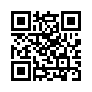 QR CODE 29