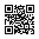 QR CODE 32