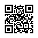 QR CODE 38