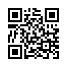QR CODE 133
