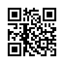 QR CODE 46