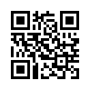 QR CODE 81