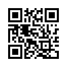 QR CODE 161