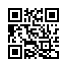 QR CODE 221