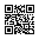 QR CODE 229