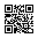 QR CODE 231