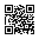 QR CODE 461