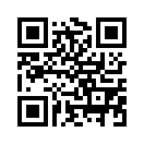 QR CODE 498