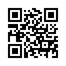 QR CODE 501