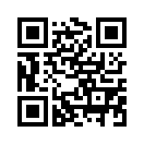 QR CODE 503