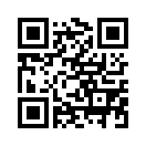 QR CODE 505