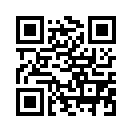 QR CODE 513