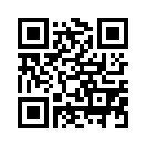 QR CODE 516