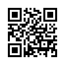 QR CODE 521