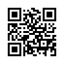 QR CODE 528