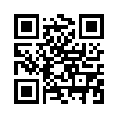 QR CODE 529