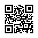 QR CODE 530