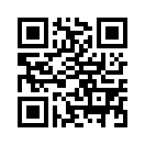 QR CODE 532