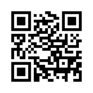 QR CODE 533