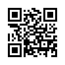 QR CODE 534